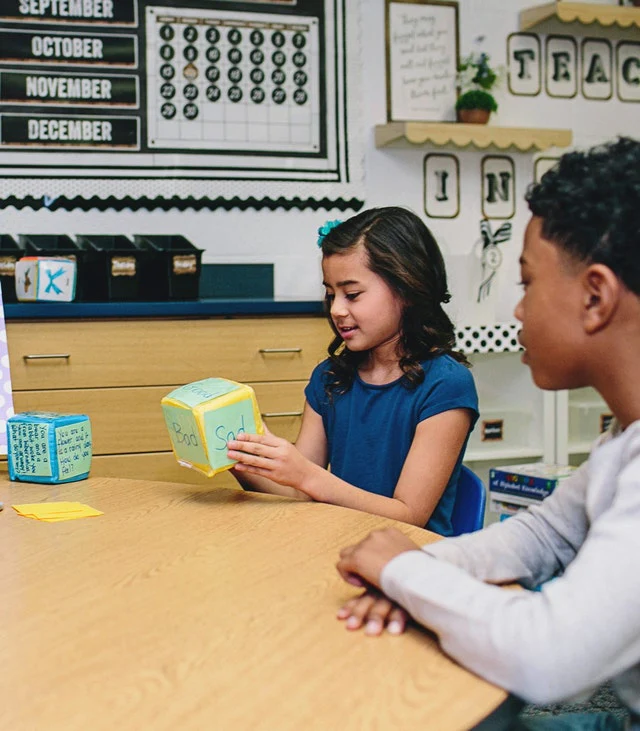 Differentiated Instruction Cubes - Image 5