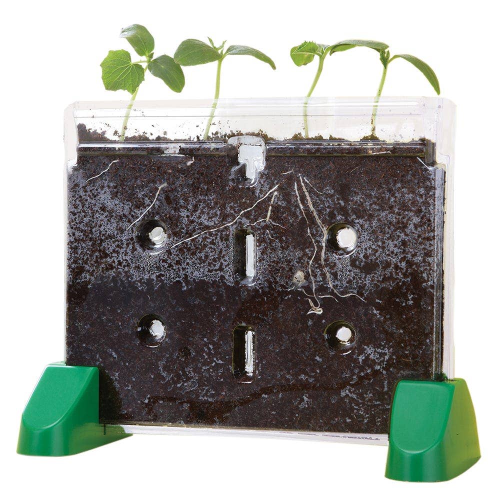 Sprout & Grow Window - Image 3